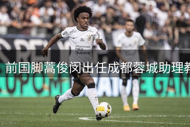 前国脚蒿俊闵出任成都蓉城助理教练