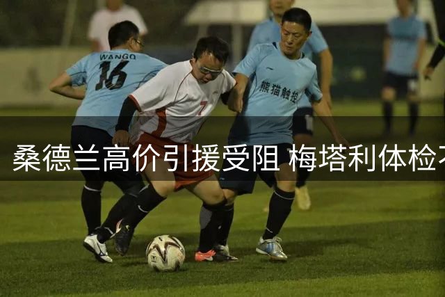 桑德兰高价引援受阻 梅塔利体检不过关